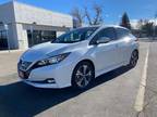2020 Nissan LEAF