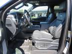 2023 Ford F-350 SD Platinum Crew Cab Short Bed 4WD