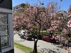 Beautifully Renovated 1BR at The Westbriar