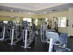 N Oakland Forest Dr Apt,oakland Park, Condo For Rent