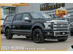 2015 Ford F-150 Platinum Crew Cab 4X4 / LOADED / REGULAR SERVICE - Dallas,TX