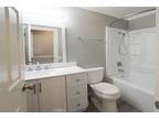 Via Gaviota, Mission Viejo, Home For Rent