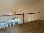 Kingbird Ct Unit,ocean View, Home For Rent