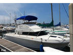1994 Skipjack Flybridge 262