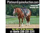 Diamond K 10 Day Guarantee! Shining Spark X Colonels Smoking Gun, Reiner, Ranch