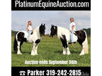 Family Safe, Ride/Drive, Ranch/Trails, buy one or both!!!