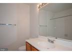Stagg Ct, Springfield, Home For Rent