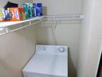 Haviland Ct Apt,palm Harbor, Condo For Rent
