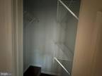 Goldfinch Ct Unit,warrington, Flat For Rent