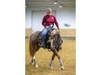 Clinton Anderson Method Ambassador Trained Mare