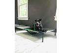 Millie, American Pit Bull Terrier For Adoption In Garner, North Carolina