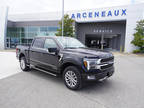 2024 Ford F-150 Black, new