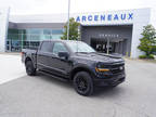 2024 Ford F-150 Black, new