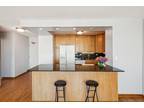 N Sandburg Ter Unit E, Chicago, Home For Rent