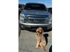 2014 Ford F-150 Silver, 133K miles