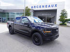 2024 Ford F-150 Black, new