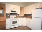 Halstead Ave, Harrison, Flat For Rent