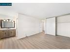Wesley Ct Apt,walnut Creek, Condo For Rent