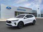 2024 Ford Escape White, new