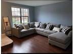 Great Horned Owl Ct, Allamuchy Township, Home For Rent