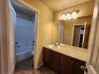 Cottonwood Tree Dr, Colorado Springs, Home For Rent