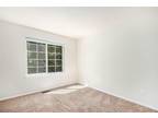 Wangaratta Way, Highlands Ranch, Home For Rent