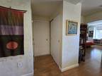 Massachusetts Ave Apt,cambridge, Condo For Rent