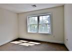 Maple Tree Ave Unit,stamford, Home For Rent
