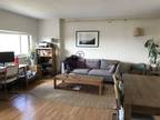 Massachusetts Ave Apt,cambridge, Flat For Rent