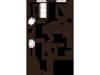 The Row - Bolin