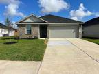 1007 Fringed Bluestar Drive Rosharon Texas 77583