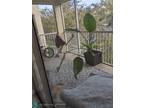 Rock Island Rd Apt,tamarac, Condo For Rent