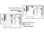 Club Park Ave Spruce times shares for free, just take over maintenance fees