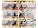 German Shepherd Dog PUPPY FOR SALE ADN-830161 - GERMAN SHEPHERD FAMILY RAISED