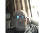 PaulC51