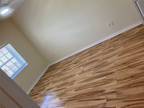Cadbury Cir Apt,venice, Condo For Rent