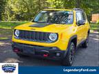 2017 Jeep Renegade Trailhawk