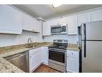 Massachusetts Ave Apt,cambridge, Condo For Rent