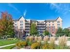 Concord Dr Unit,morton Grove, Condo For Rent