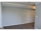 Th St Se Apt,washington, Condo For Rent