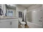 Grapevine Loop, Smyrna, Home For Rent