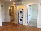 Elm St Apt,manchester, Flat For Rent