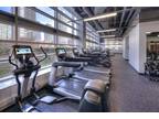 N Dearborn St Apt,chicago, Condo For Rent