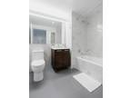 Delancey St Apt,manhattan, Flat For Rent