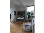 Charlesgate W Apt A, Boston, Condo For Rent