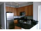S State St Unit,chicago, Condo For Rent