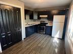 Mckool Ave Unit,streamwood, Home For Rent