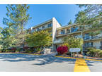 Updated 1 bed 1 bath Uplands condo