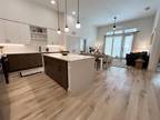 501 E College Street Unit: 2240 Lewisville Texas 75057
