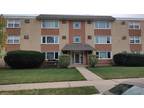 Brown St Apt B, Des Plaines, Condo For Rent
